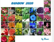2nd Apr 2020 - Rainbow 2020