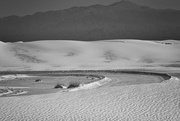 22nd Feb 2020 - White Sands, New Mexico