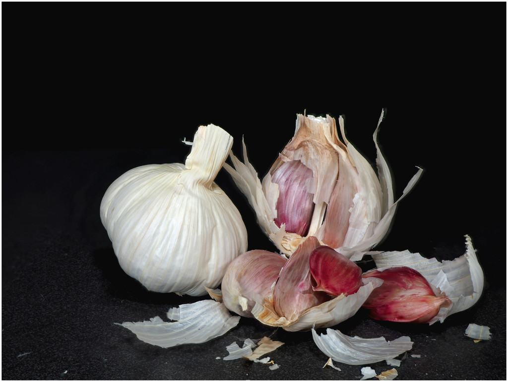 Some wonderful garlic by jon_lip