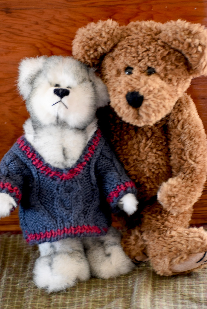 Teddy and Fairbanks by bjywamer