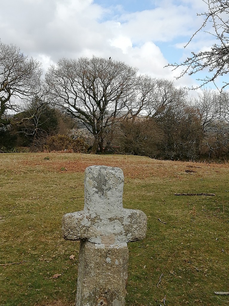 Day 18 One of the two granite crosses on Whitchurch Down.  by jennymdennis