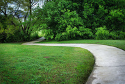 3rd Apr 2020 - Another Pathway