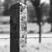 Fence Post...forever supportive by s4sayer
