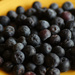 Blueberries on a yellow plate. by larrysphotos