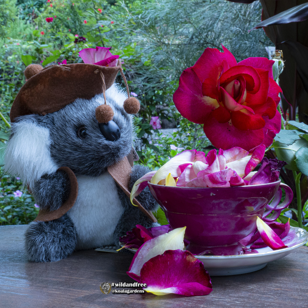 an unexpected tea party by koalagardens