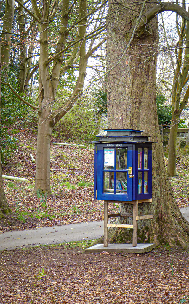 Little Library in the Woods by frequentframes