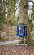 4th Apr 2020 - Little Library in the Woods