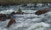 4th Apr 2020 - 0404 - The river near Odda