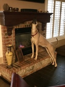4th Apr 2020 - Dori loves the fireplace 
