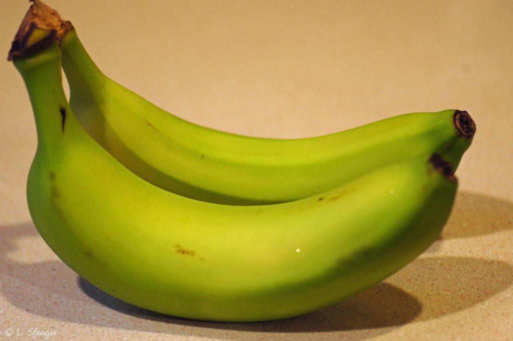 Banana by larrysphotos
