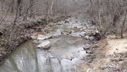 4th Apr 2020 - Stopped to See the Stream