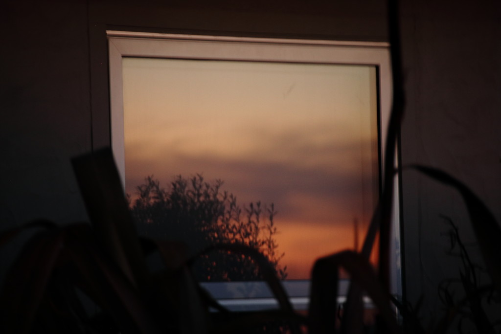 Sunset reflection by suez1e