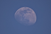 4th Apr 2020 - Moon