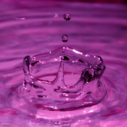 4th Apr 2020 - Splash of purple