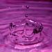 Splash of purple by novab