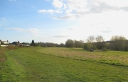 31st Mar 2020 - Magpie meadow
