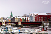 5th Apr 2020 - Trondheim
