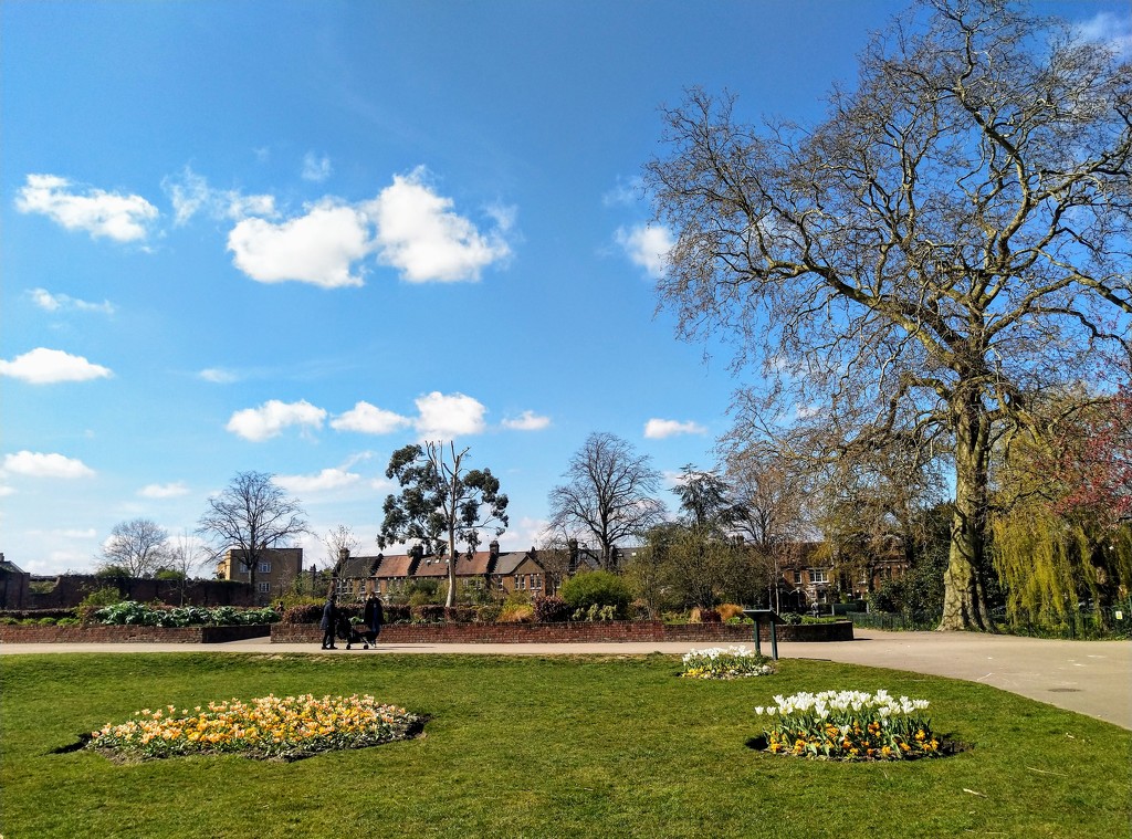 Springtime in the park by boxplayer