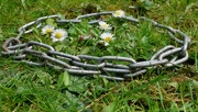 5th Apr 2020 - DAISY CHAIN OF EVENTS - DAY 5 