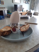 5th Apr 2020 - Goose eggs for breakfast 
