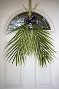 5th Apr 2020 - Palm Sunday