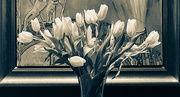 29th Mar 2020 - Tulips Framed
