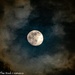 Moon on a cloudy night. by theredcamera
