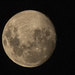 moon by koalagardens