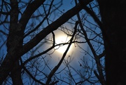 4th Apr 2020 - Day 95: Goodnight, Moon!