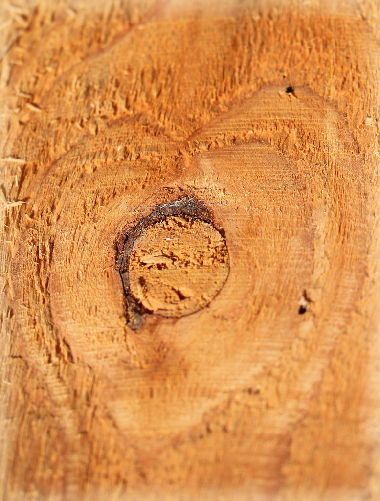 Wooden heart by bybri
