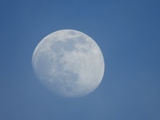 5th Apr 2020 - Evening moon