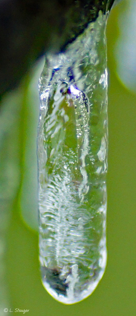 Frozen rain by larrysphotos