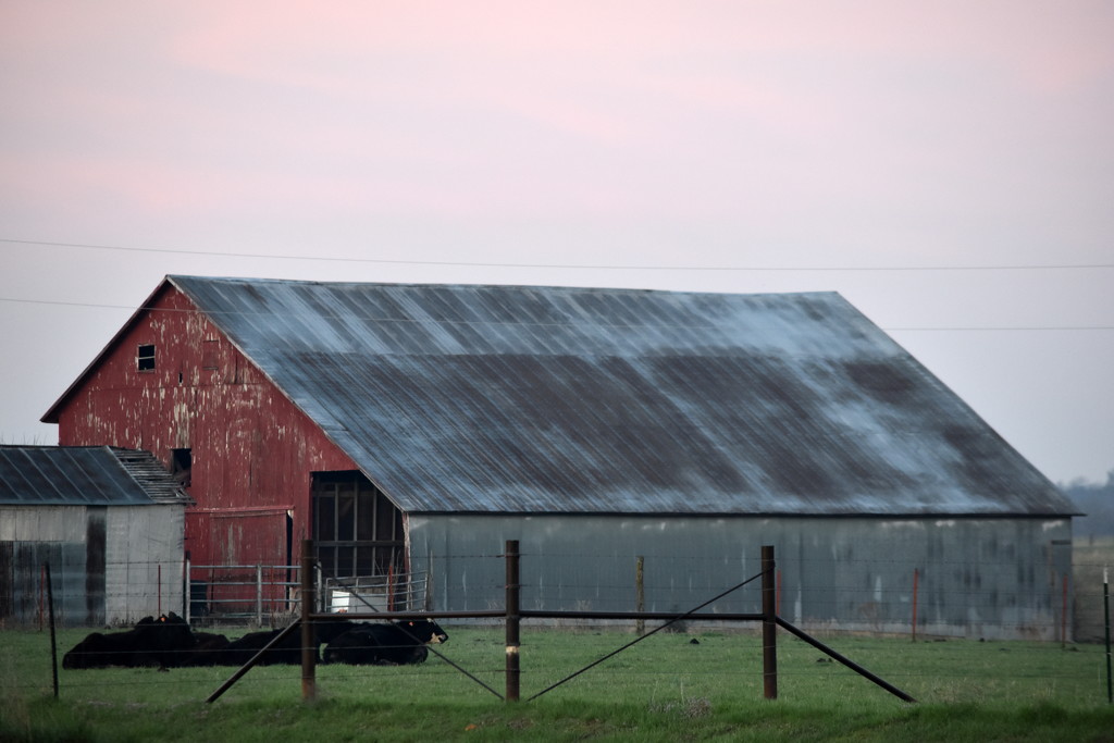Barn at Dawn by genealogygenie