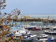 2nd Apr 2020 - Budding Harbour