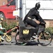 Batman and Robin by ajisaac