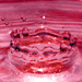 Splash of pink by novab