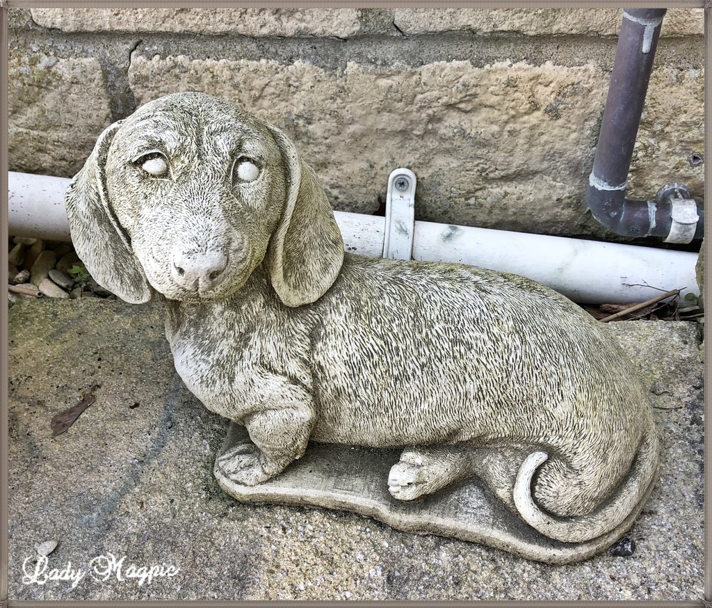 Donald the Dachshund. by ladymagpie