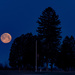 Early Morning Moon Set by farmreporter