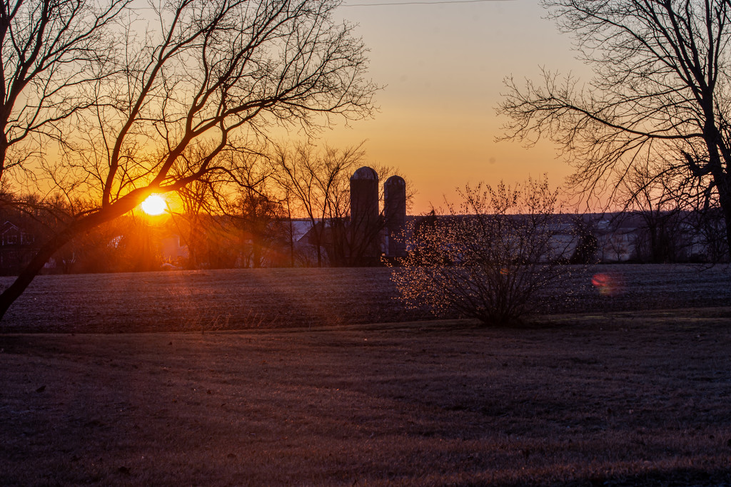 Morning Has Broken by Cat Stevens by farmreporter