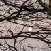 SuperMoon by panoramic_eyes