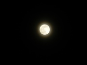 7th Apr 2020 - Pink Supermoon 