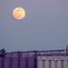 Pink Moon Over the Mississippi by rosiekerr