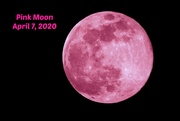 8th Apr 2020 - PINK Moon