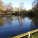 The Pond Vernon Park by oldjosh