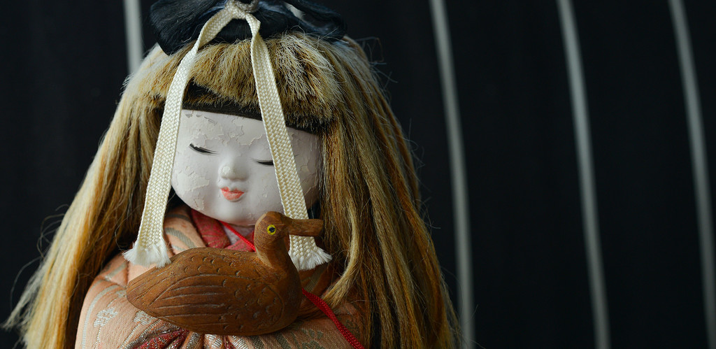 Day 8 Japanese dolls - panorama by jeneurell