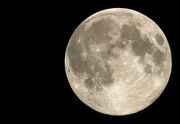 8th Apr 2020 - spring moon 7 april 2020
