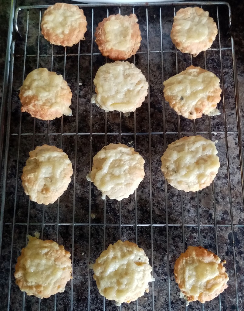 More Cheese Scones by g3xbm