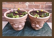 8th Apr 2020 - My Garden 9 - Happy Pots