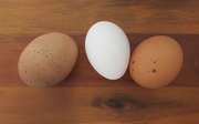 8th Apr 2020 - Eggs For Breakfast