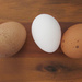Eggs For Breakfast by paintdipper